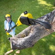 Best Pest Control for Lawns  in Wayland, IA